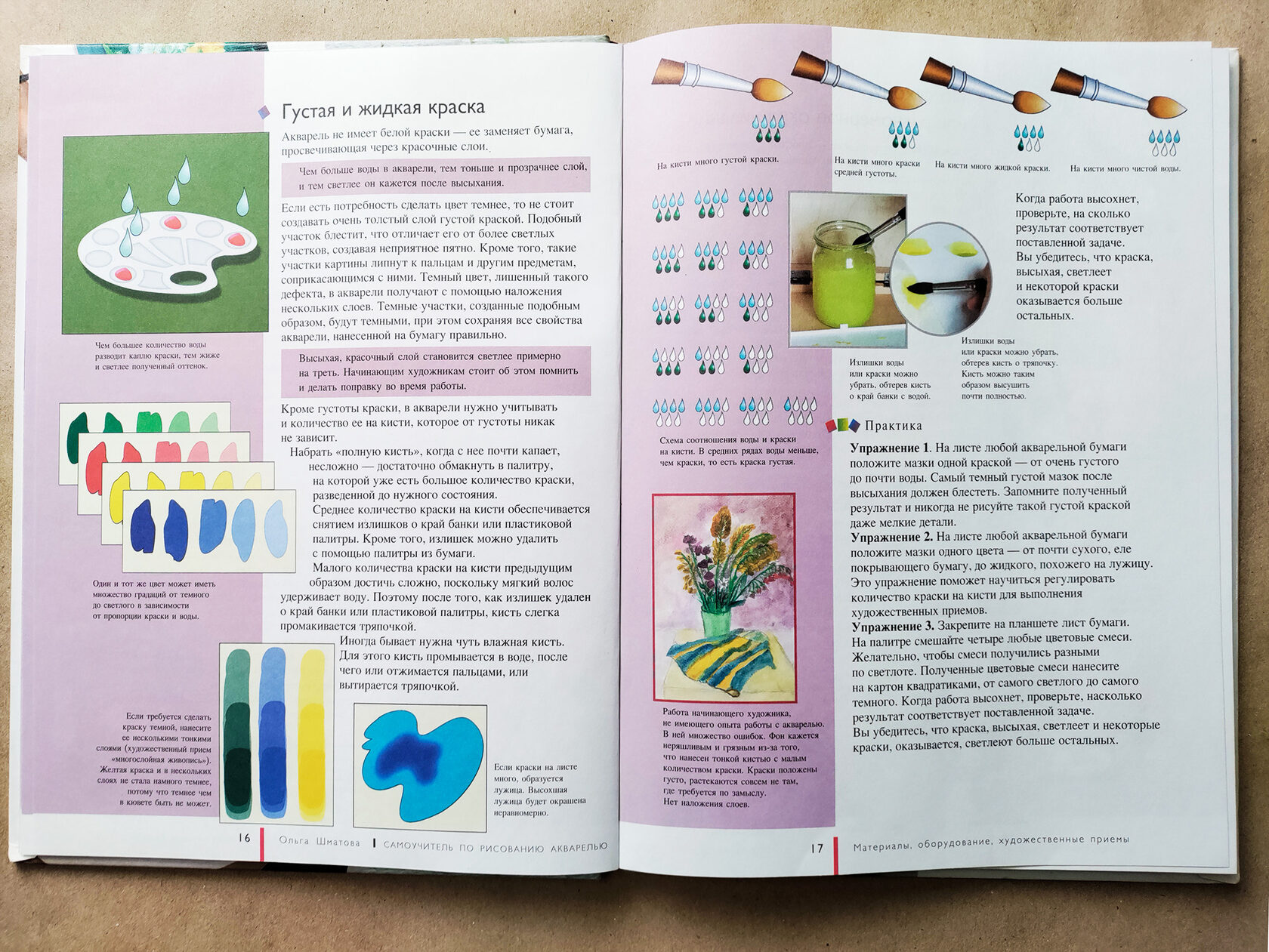 Book spread (pages 16–17) on the "Thick and diluted paint" technique