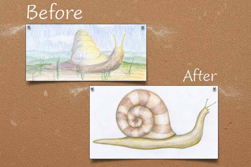 Before and after colored pencil drawing showing beginner student progress with Olga Shmatova method